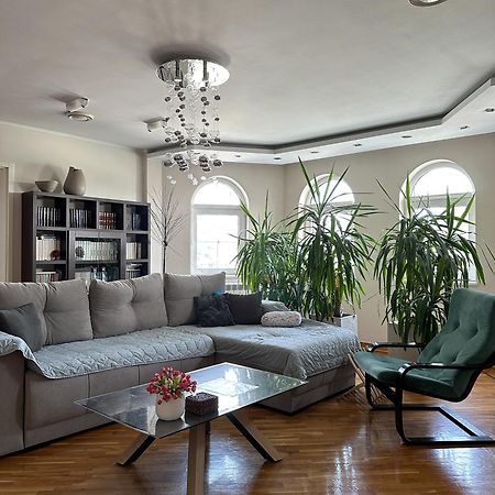 Lovely Apartments Free Street Parking Novi Sad Esterno foto