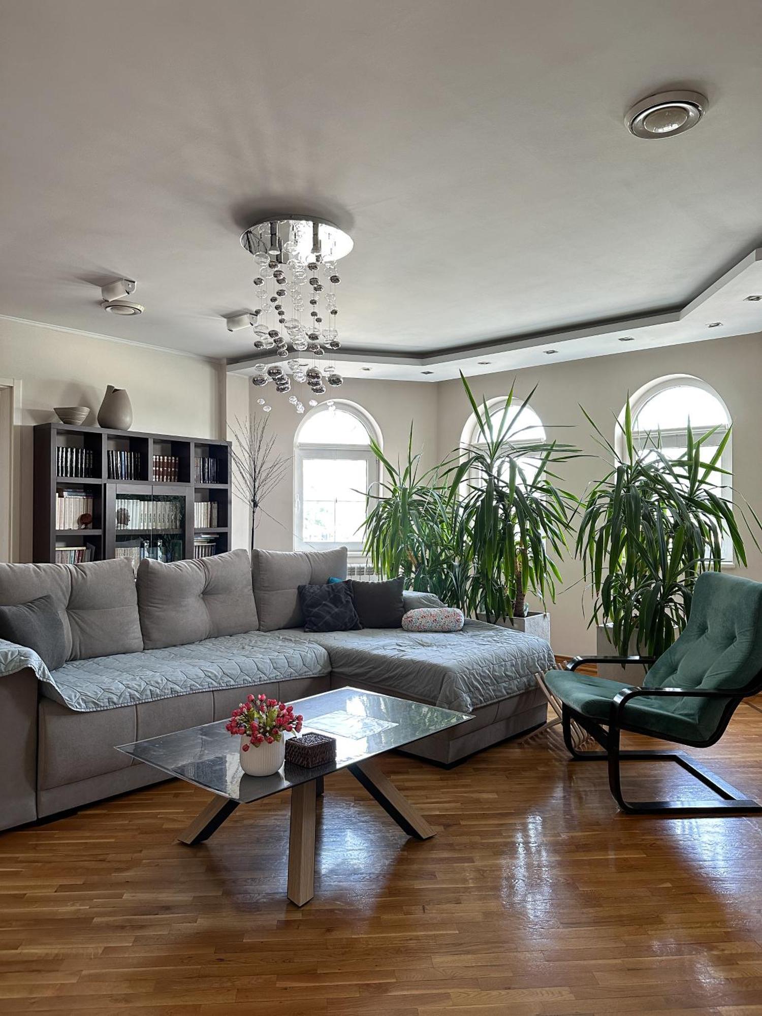 Lovely Apartments Free Street Parking Novi Sad Esterno foto
